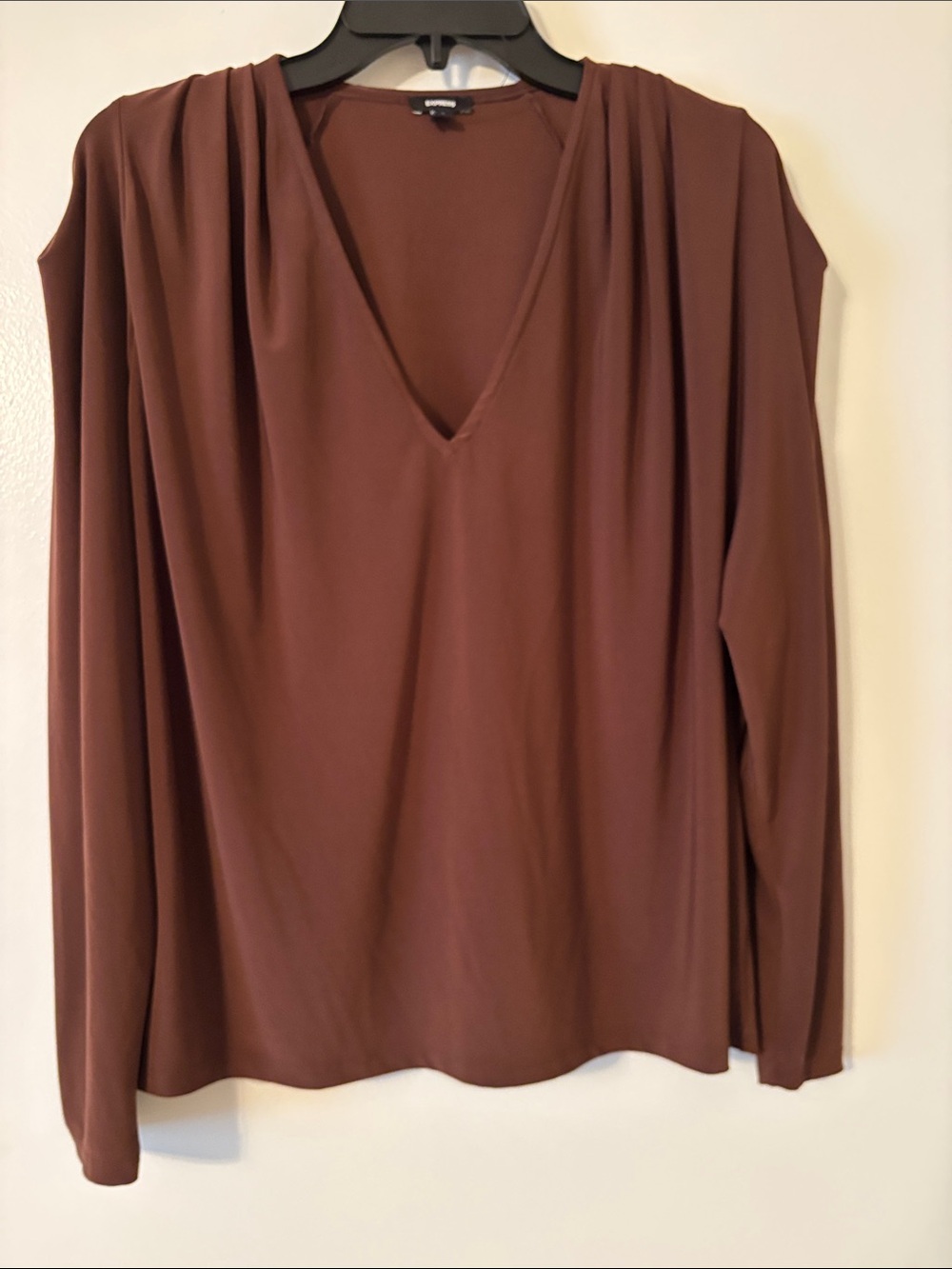 Express Long Sleeve V-Neck Top in Rust